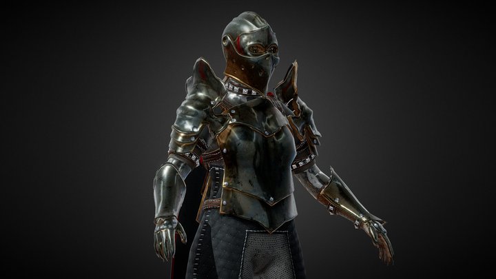 Sable Knight 3D Model