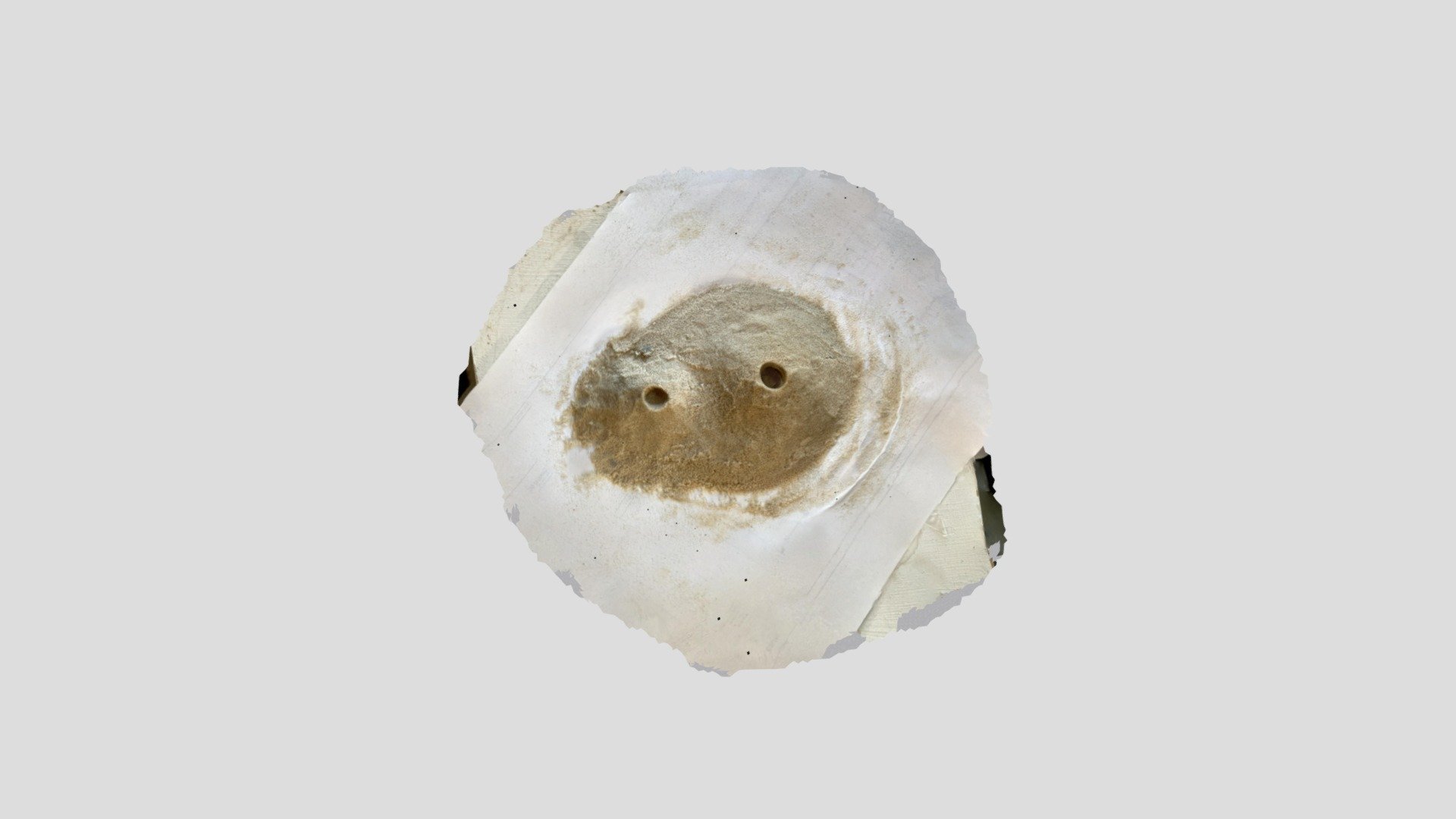 Secret Nest