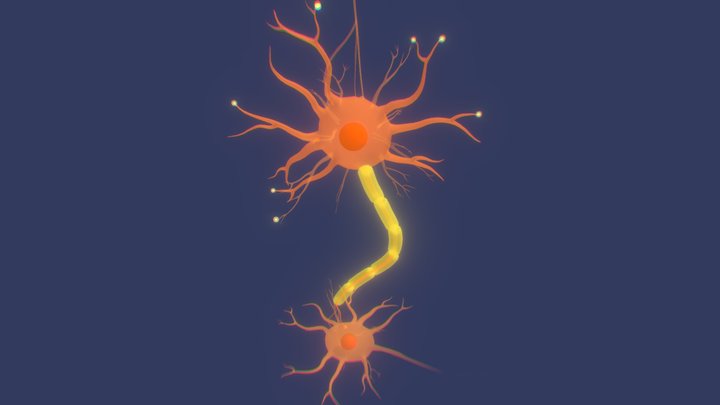 Neurônios (143) 3D Model