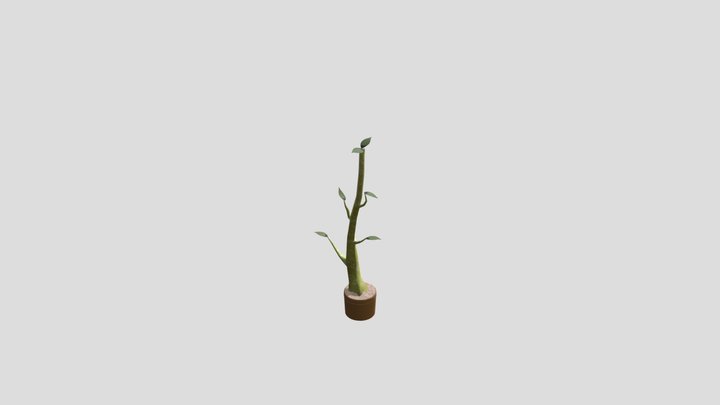 CGT116_Week8_Jakabcsin 3D Model