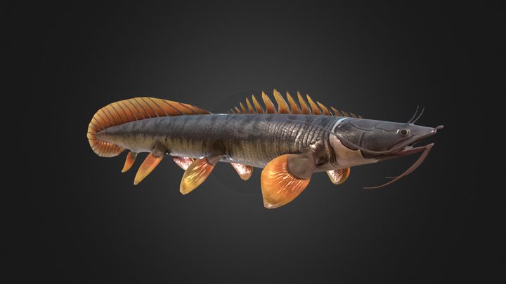 Whiskered Paddletail 3D Model