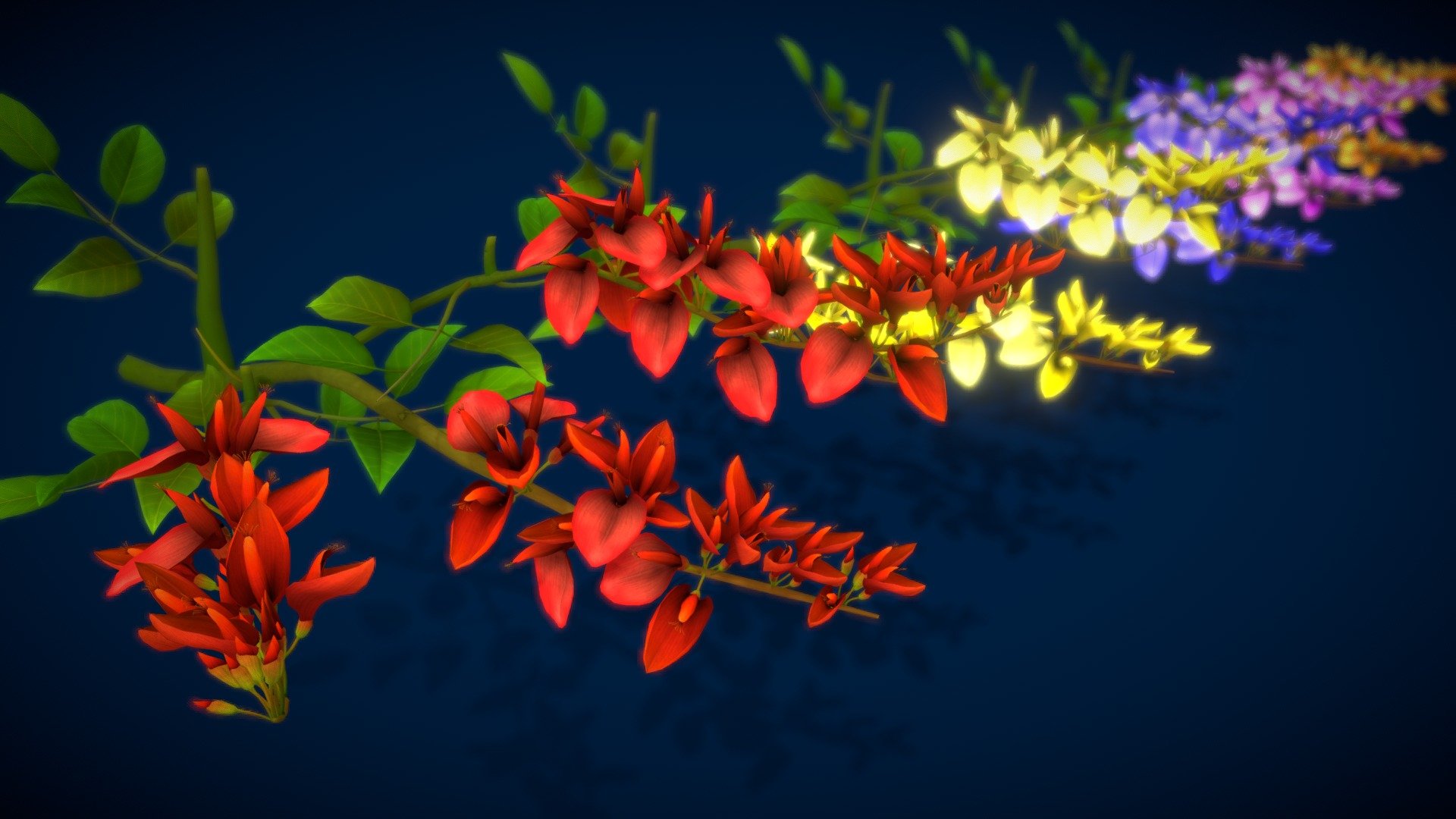 Flower Erythrina Cristagalli Buy Royalty Free 3D model by vustudios