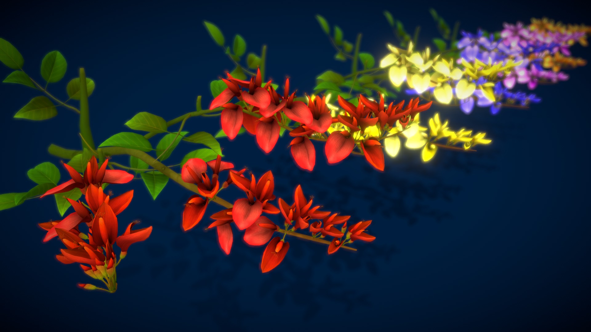 3D model Flower Erythrina Crista-galli - This is a 3D model of the Flower Erythrina Crista-galli. The 3D model is about a close-up of some flowers.