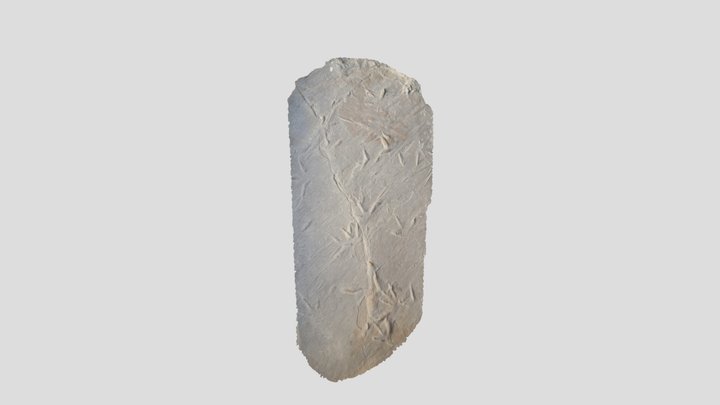 Muestra colección RICARDO – Modello 3D gratuito STL