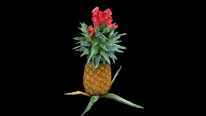 Pineapple with Ribbon (Scaniverse) – Kostenloses 3D-Modell STL