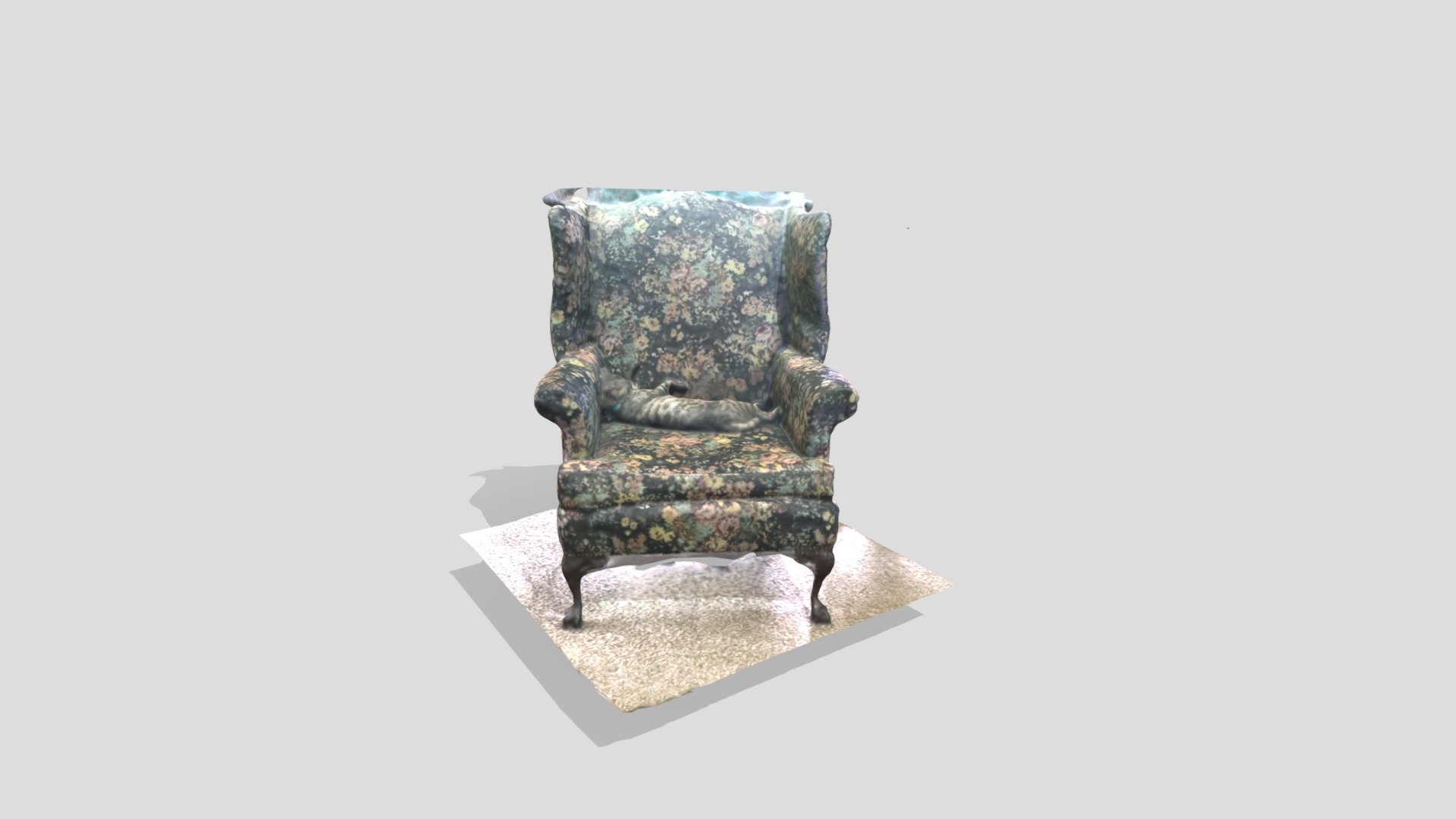 Cat in Chair -