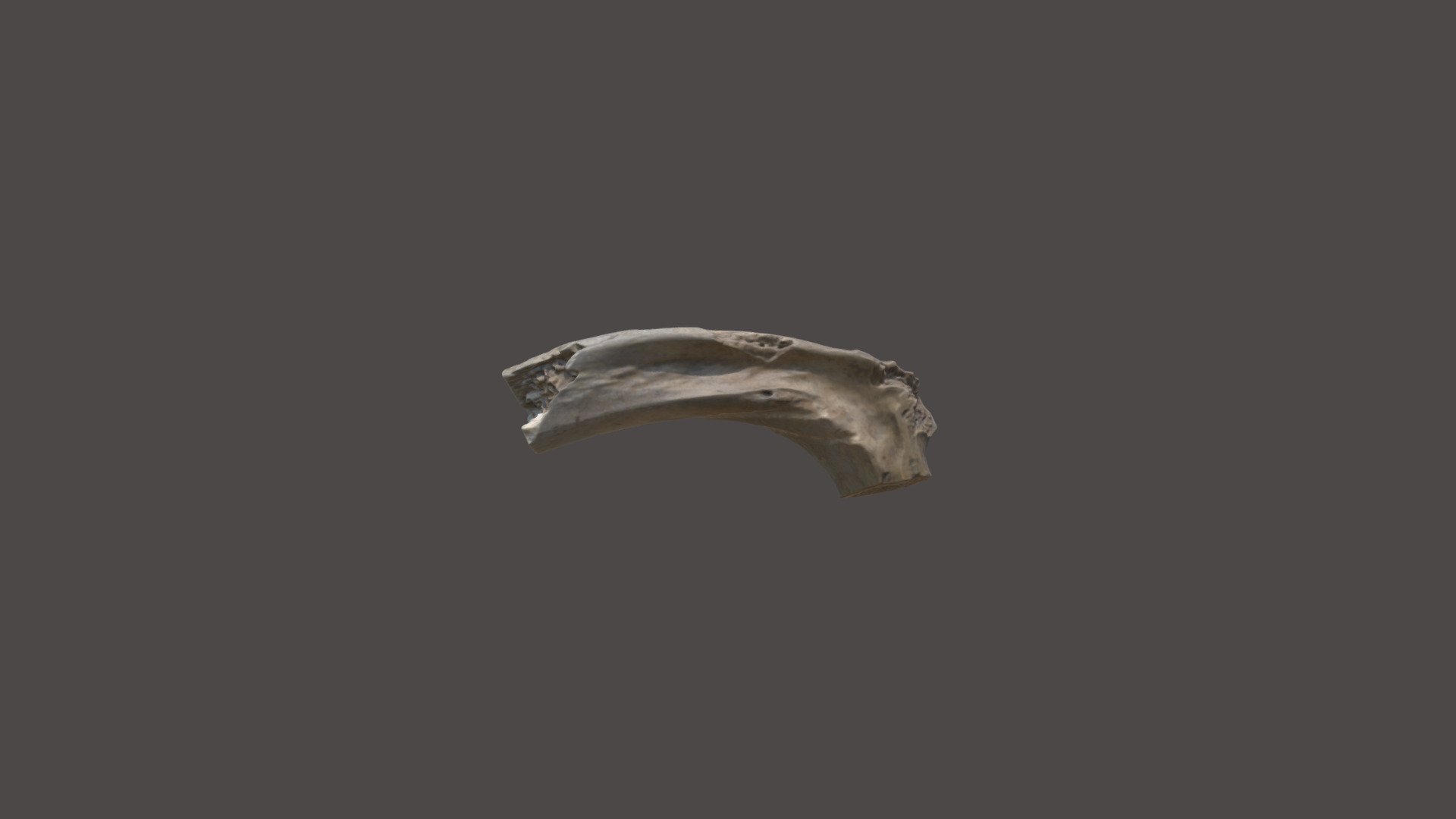 ROI051-019-01