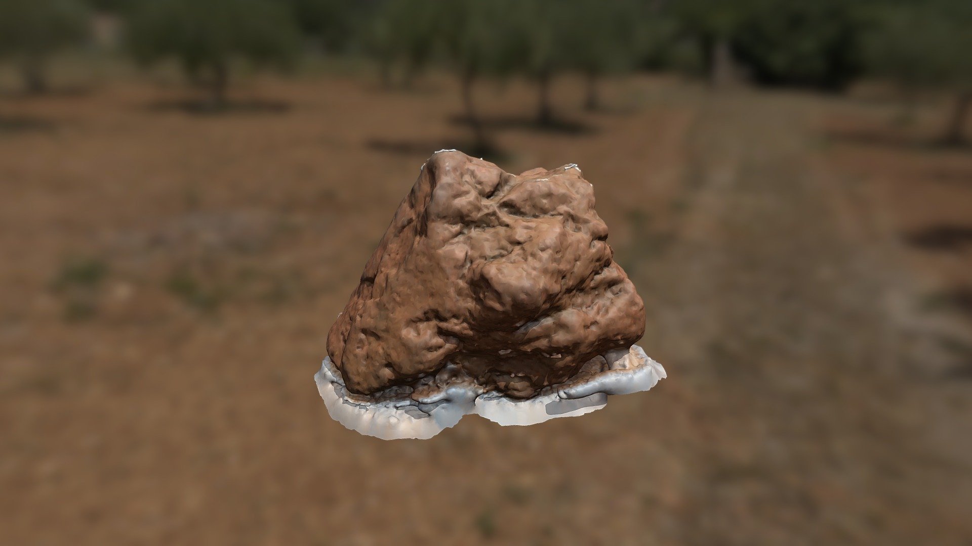 V1 - Rocks - 1