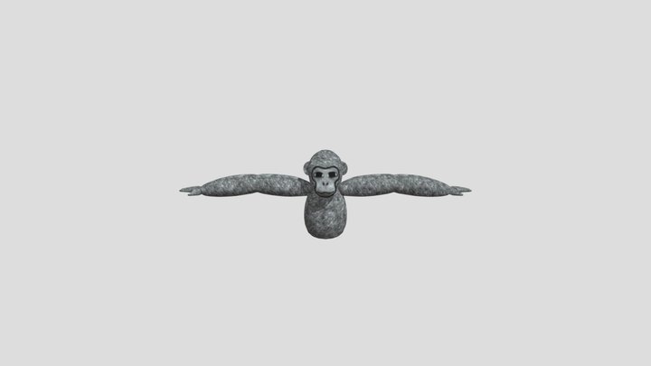 Chimp Labs 3D Model