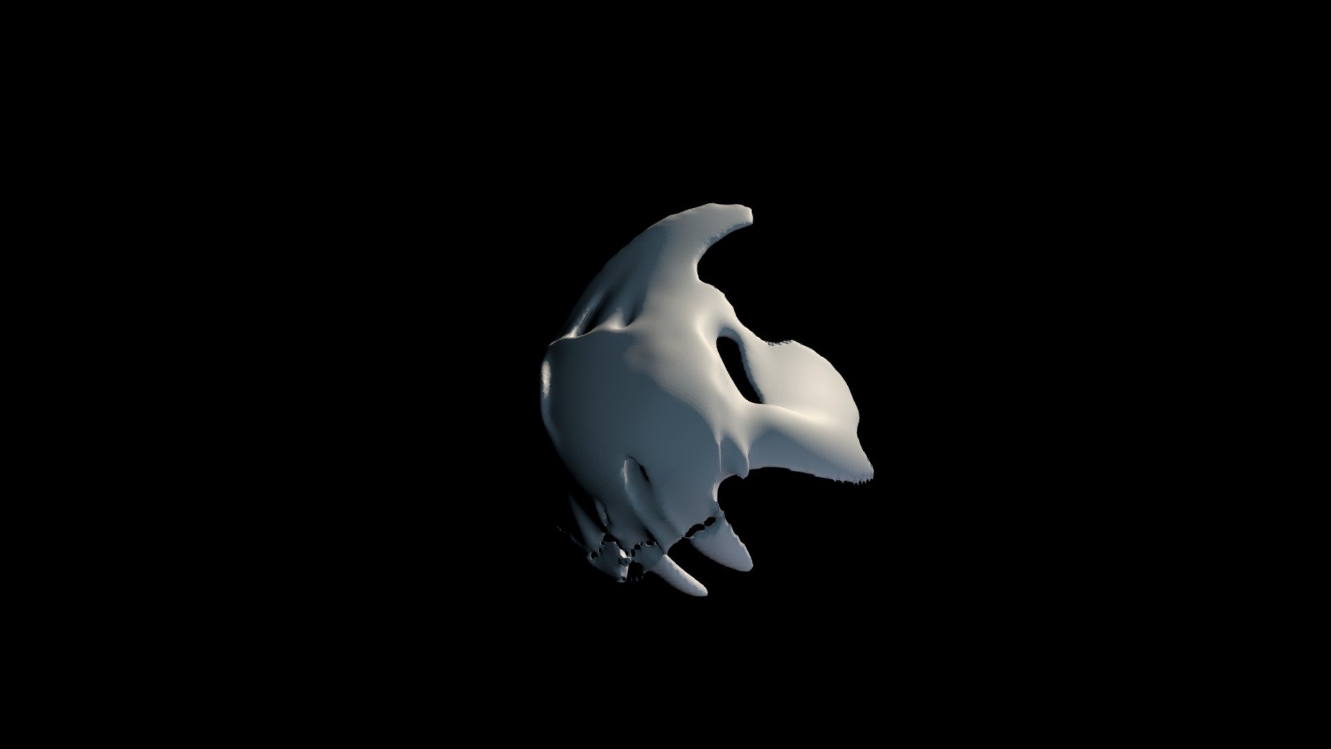 Skull