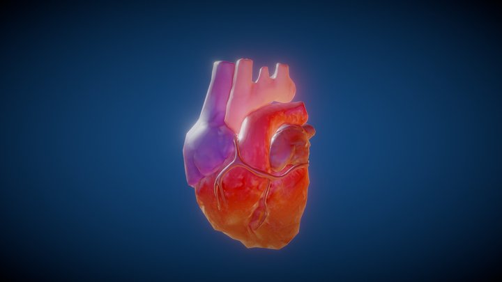 Beating Heart 3D Model
