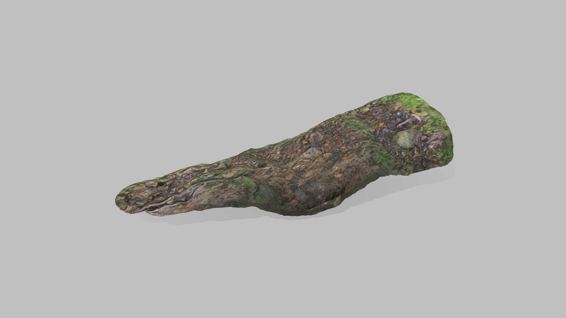 Central Park Mossy Rock (Delit)
