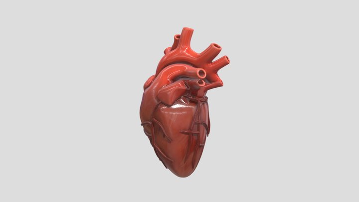 Corazón_ej 3D Model