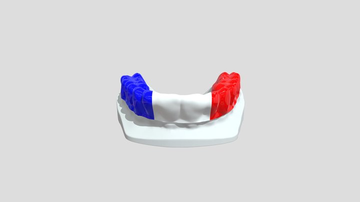 Sports Mouthguard 3D Model