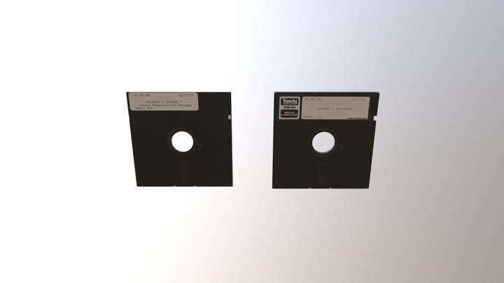Network 3 Disks 3D Model