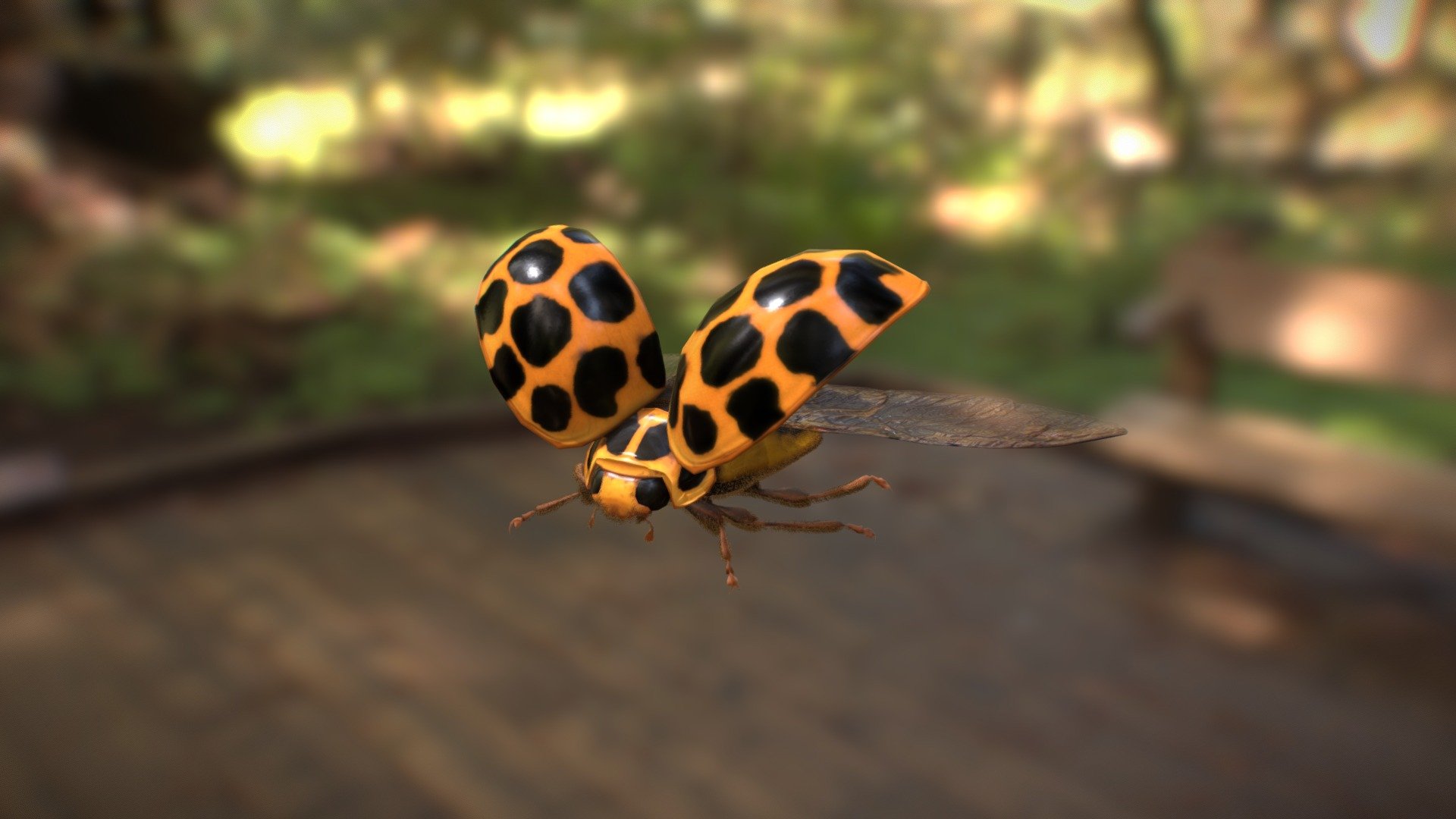 Ladybug-VR - 3D model by vector6 [24dd7b1] - Sketchfab