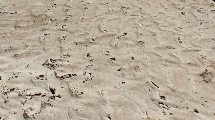 Ripples 3D Model