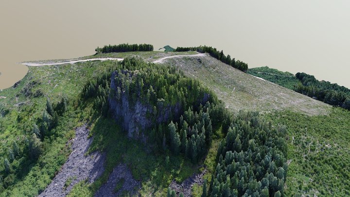 Butte Creek Mountain Top 3D Model