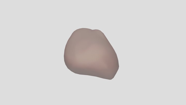 Prostate 3D Model