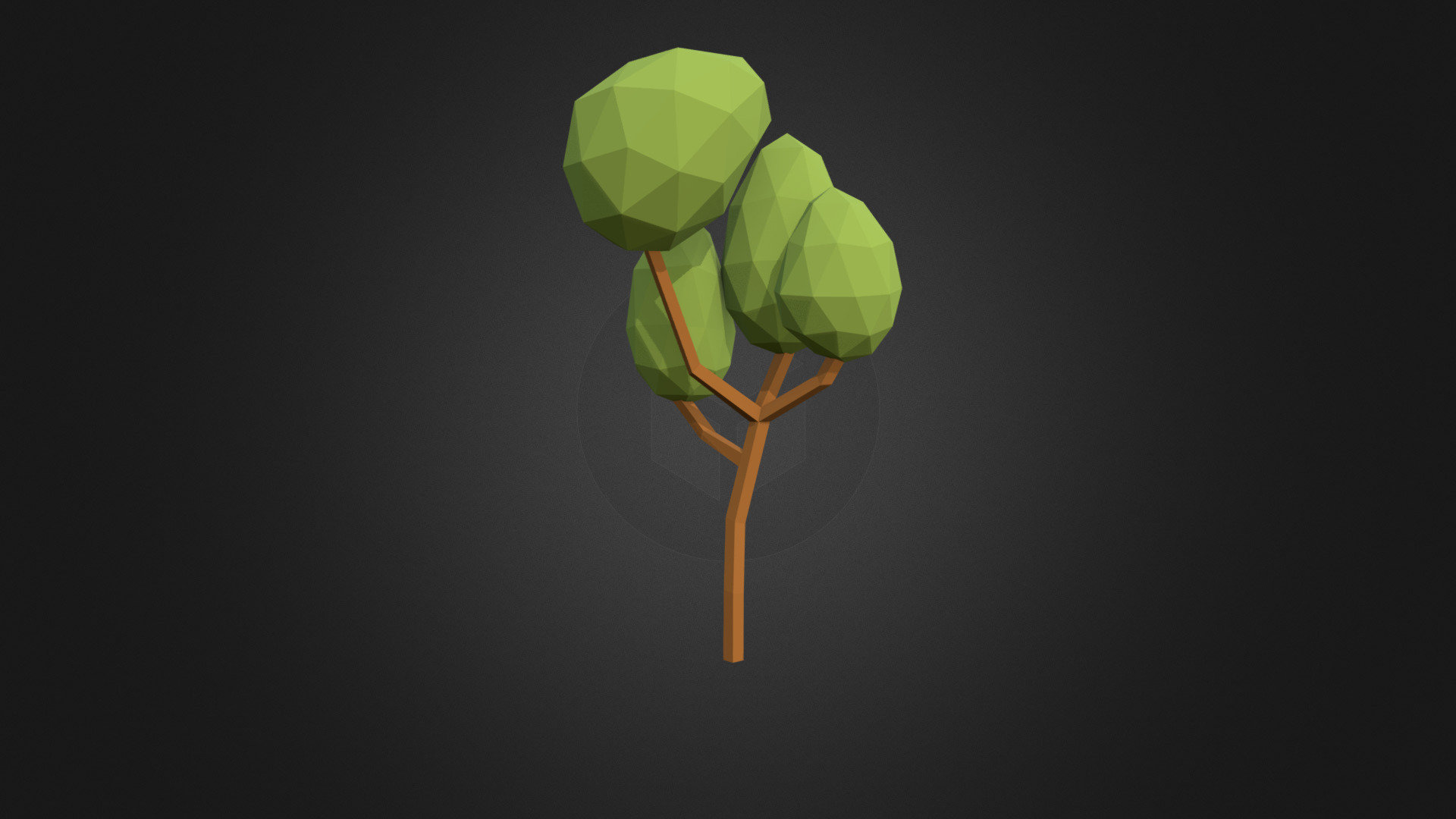 Tree Deciduous