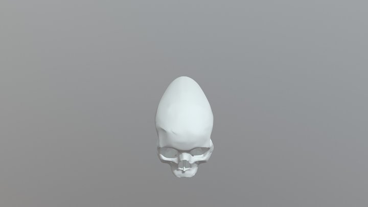 Skull Handle V01 3D Model