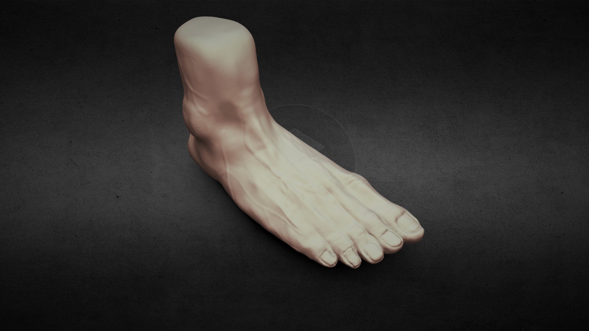 Day 2: Foot