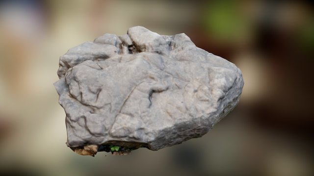 Photogrammetry Rock #2 [LP] 3D Model