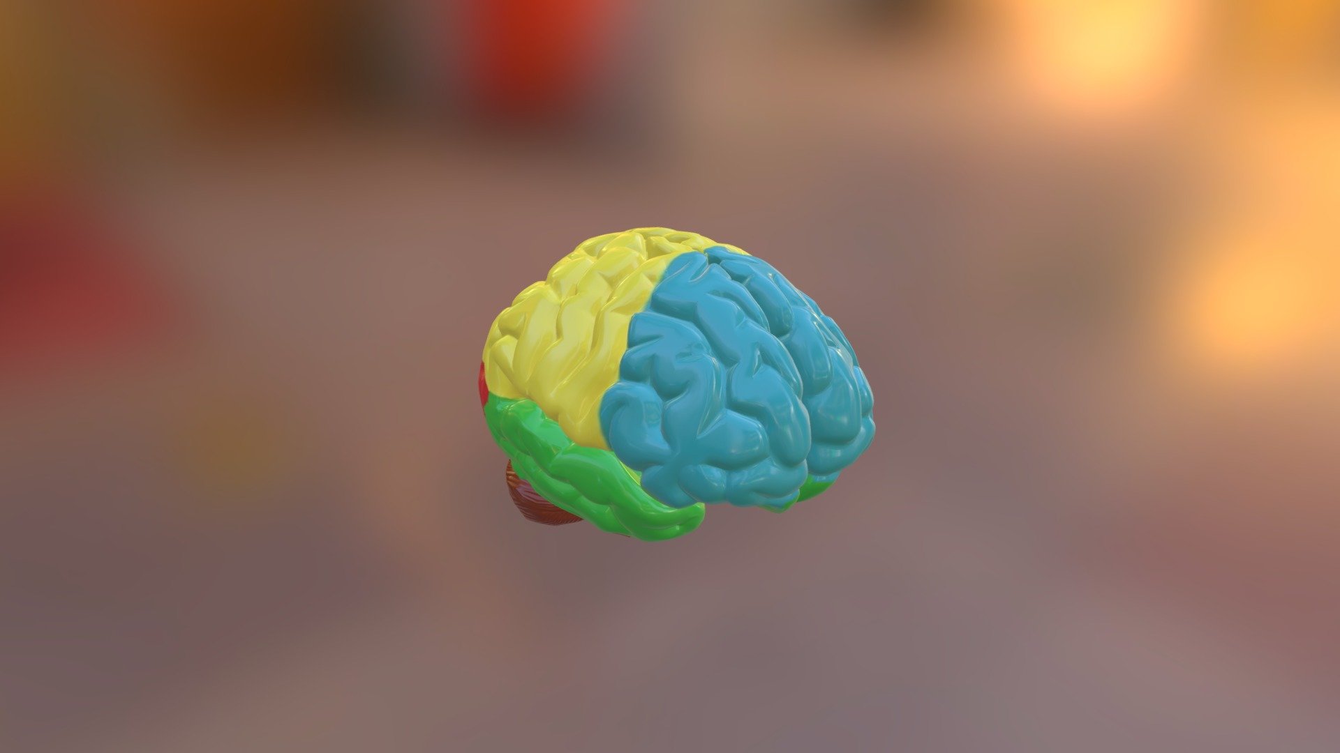 3d brain project