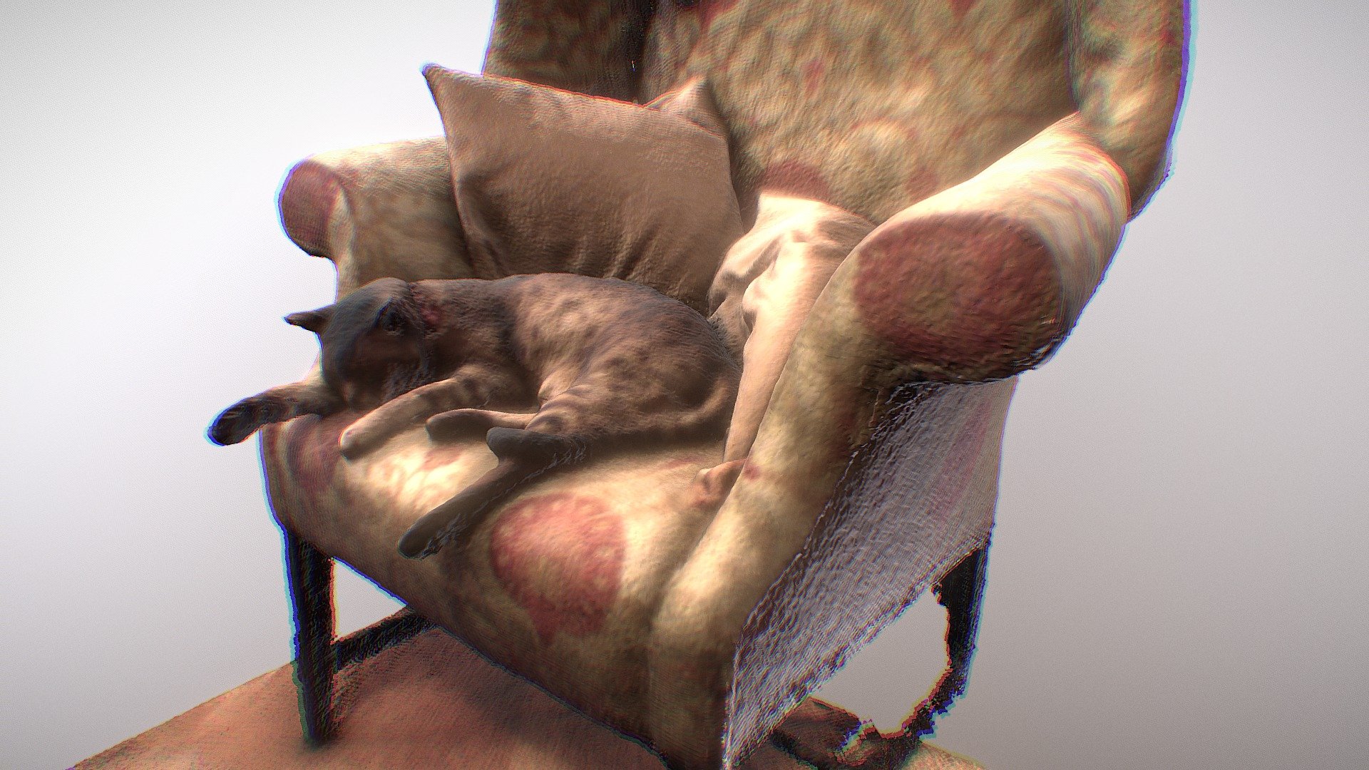 Armchair & Cat