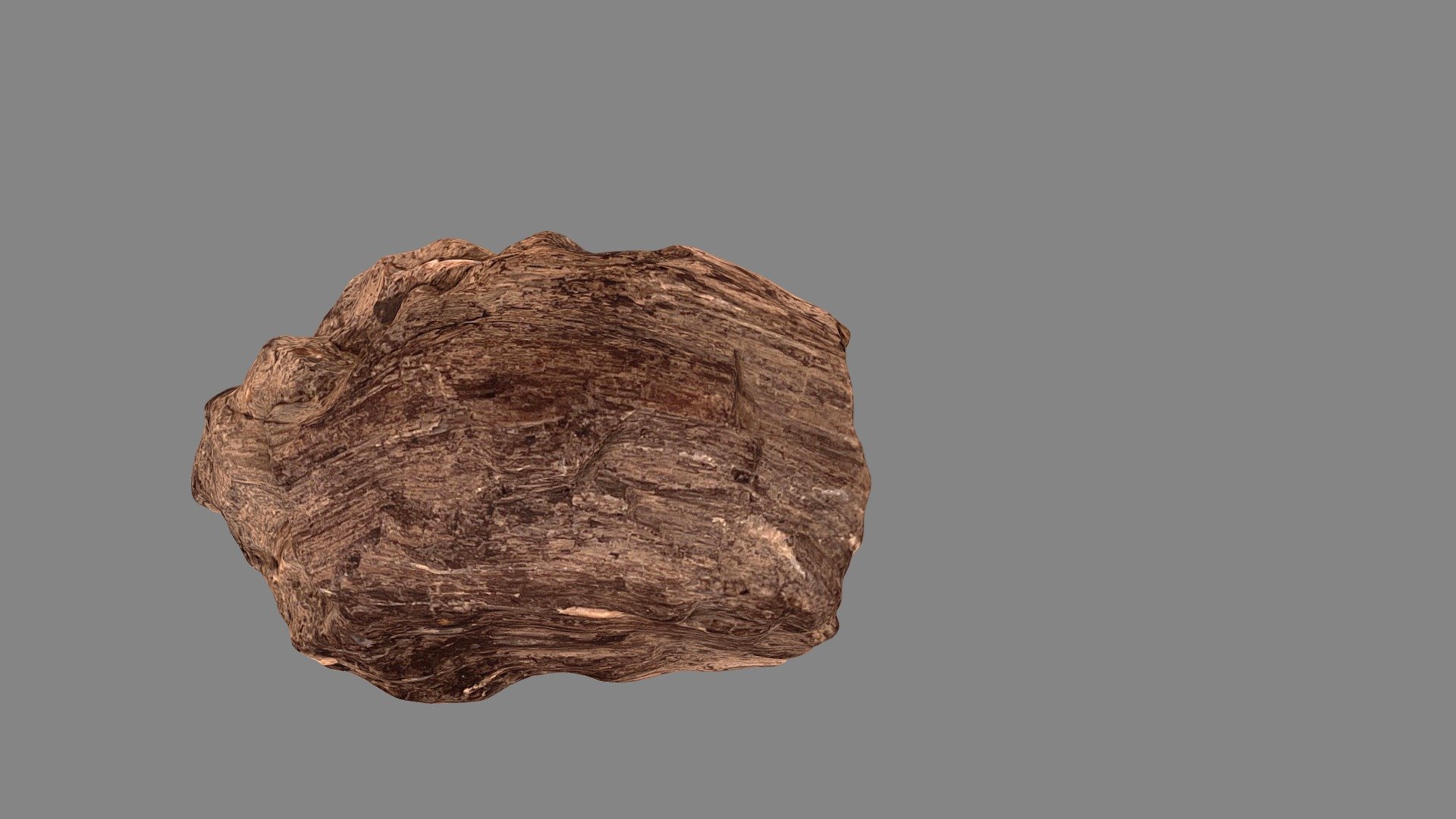 Petrified_wood