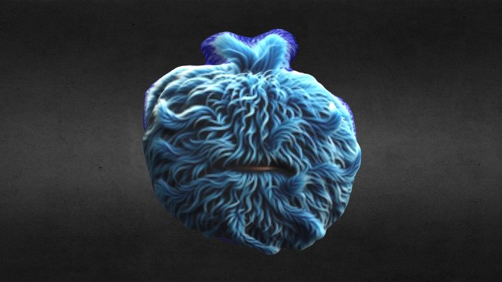 Blue and Hairy 2 – Modelo 3D gratuito STL