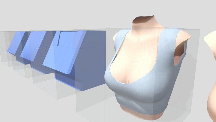 L7-猫沙盆  胸腔 3D Model