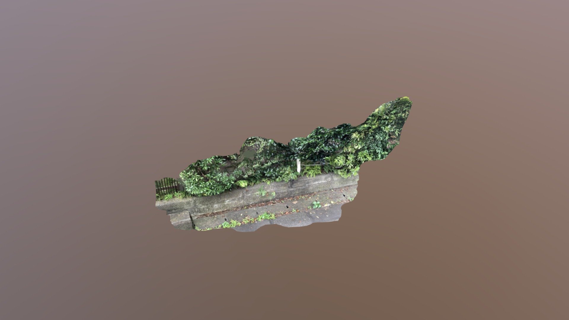 hedge — Sketchfab embed 3D viewer