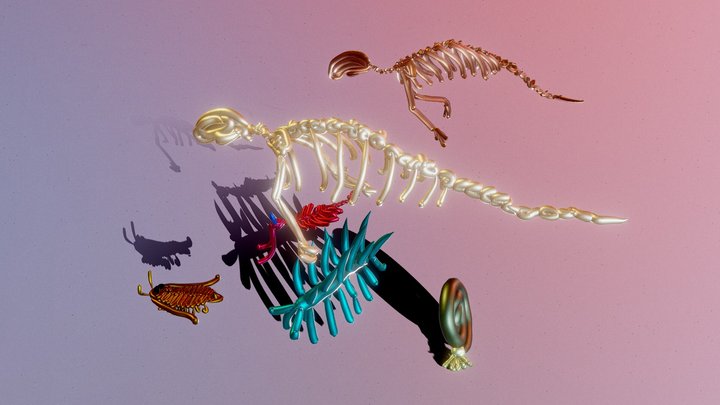 Seekühe Mix Kambrium Wesen 3D Model