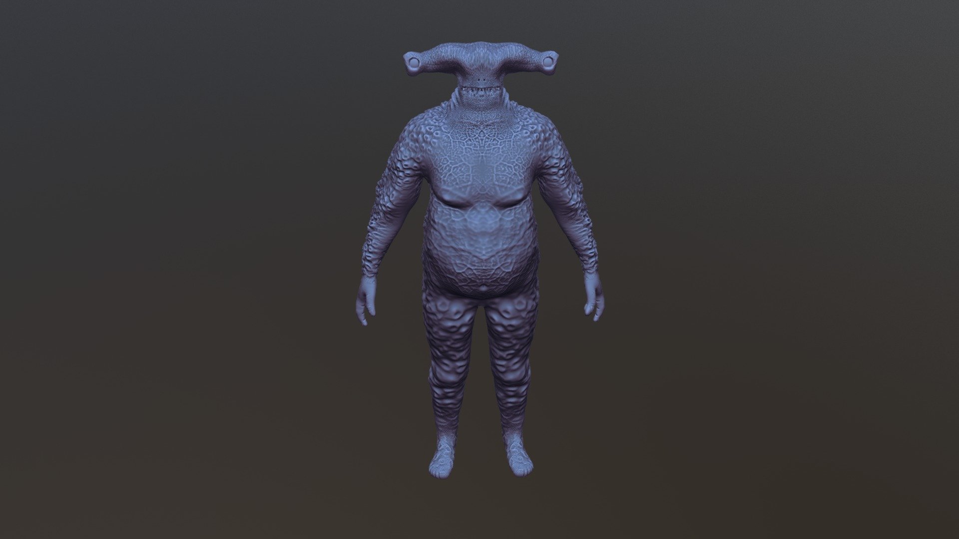 Hammer Head