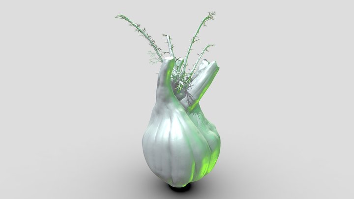 Alien fennel 3D Model