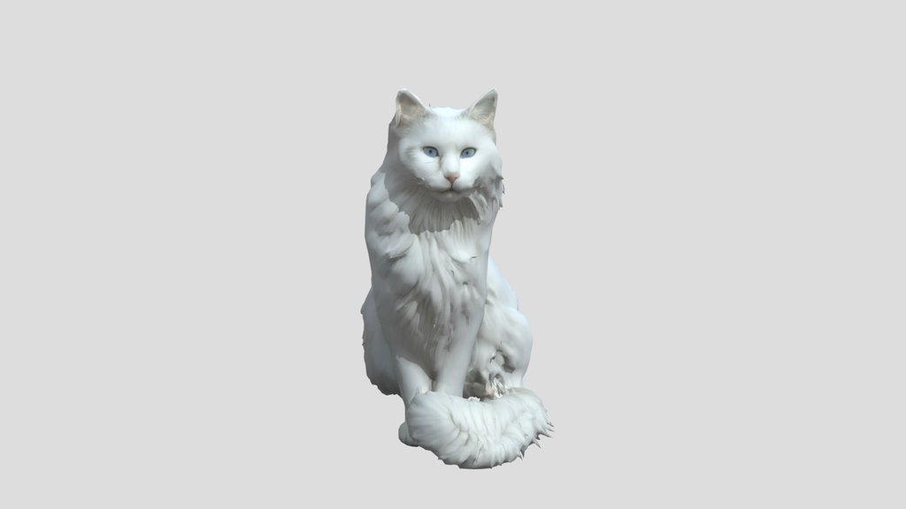 Turkish Angora_obj