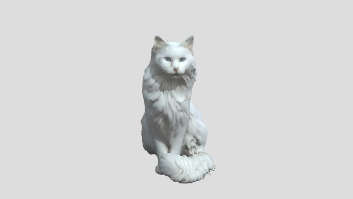 Turkish Angora_obj – Modello 3D gratuito STL
