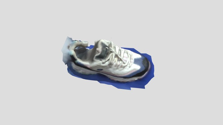 Shoes_315 3D Model