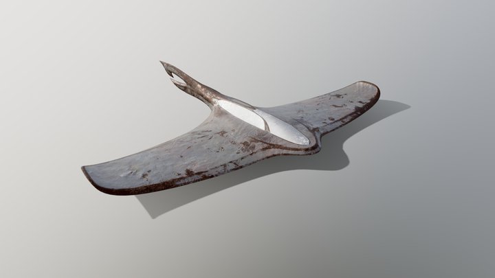 Ancient Futuristic Plane 3D Model