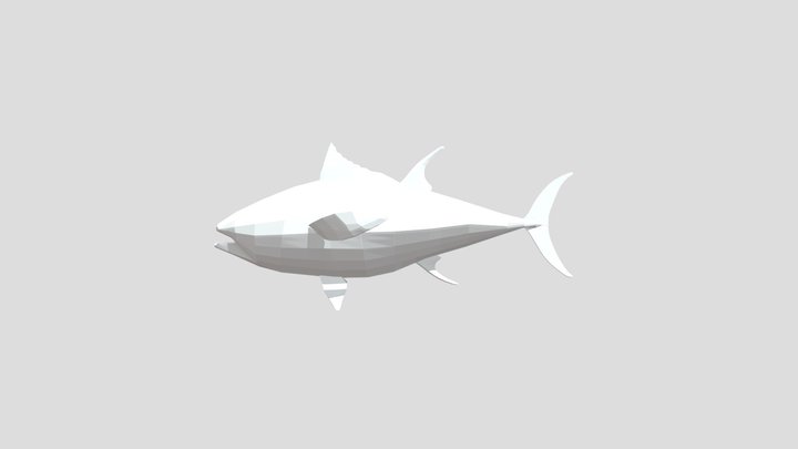Bluefin Tuna