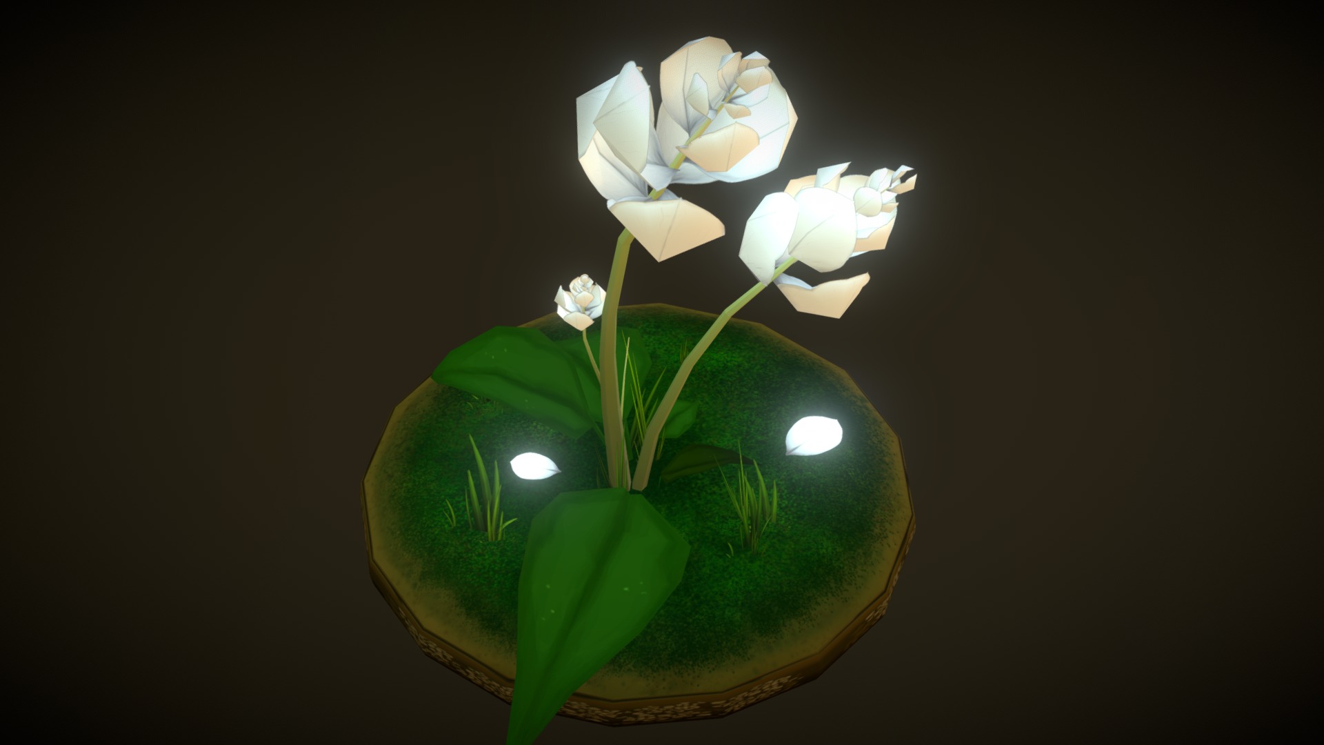 3D model Night Bloom - This is a 3D model of the Night Bloom. The 3D model is about a plant with white flowers.