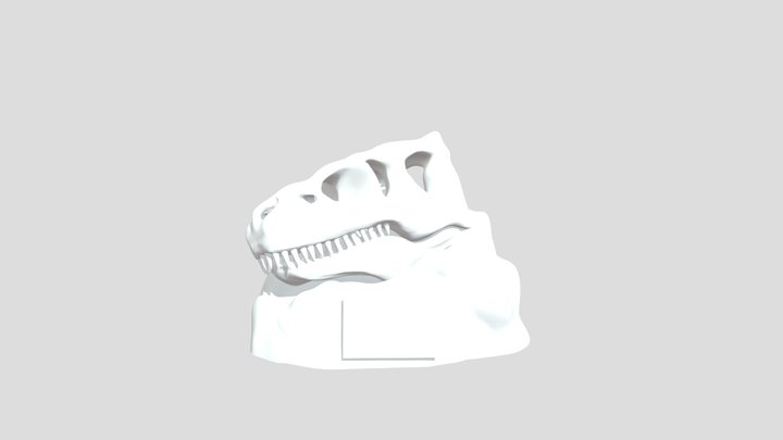 T-rex Skull 3D Model