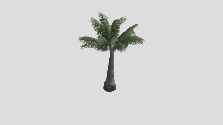 Young Palm 3D Model