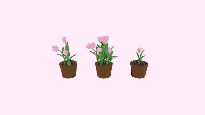 Stylized Tulips 3D Model