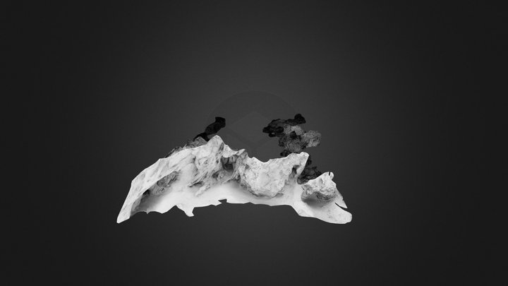 Hoh St02 3D Model