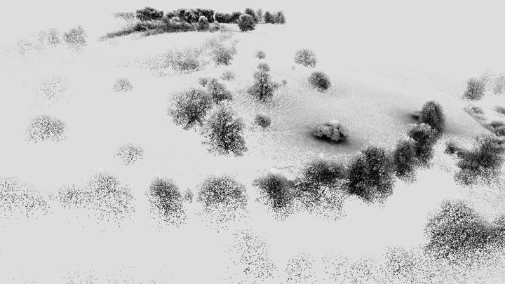 Overview of Cowdray Park – Modello 3D gratuito STL