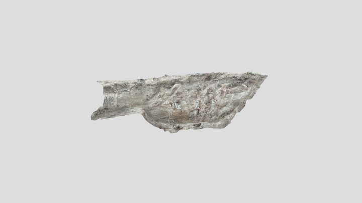 Solarpampa W wall 3D Model