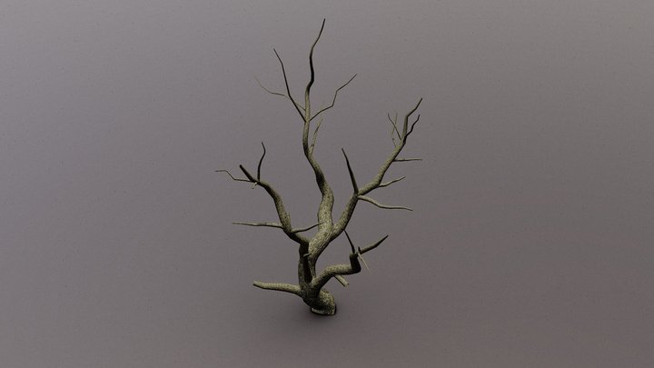 Dead tree 3D Model