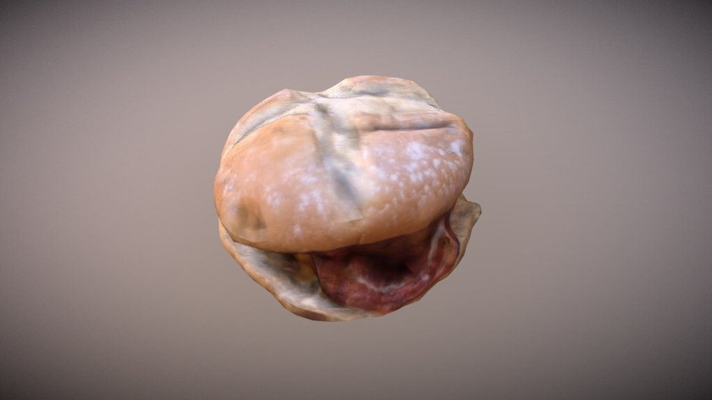 hamburger photogrammetry low poly